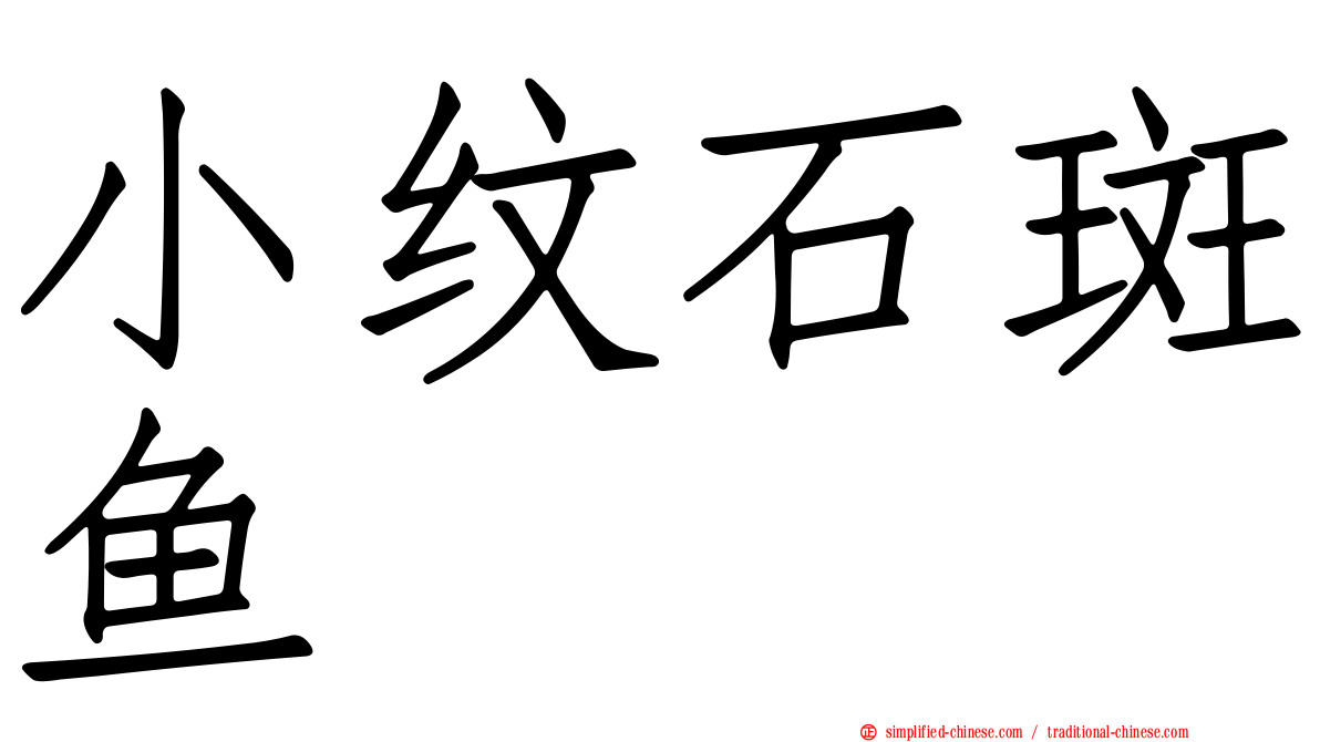 小纹石斑鱼