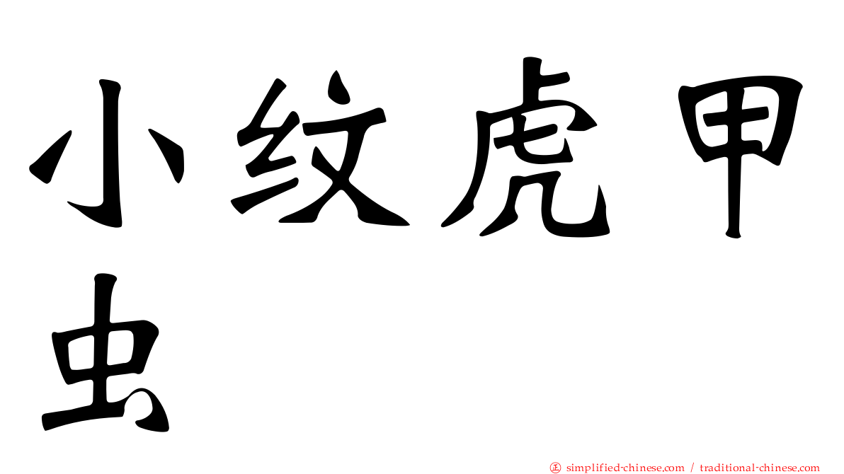小纹虎甲虫