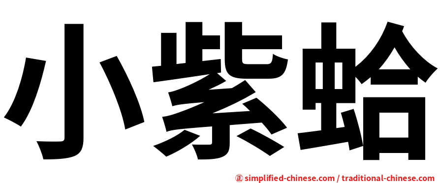 小紫蛤