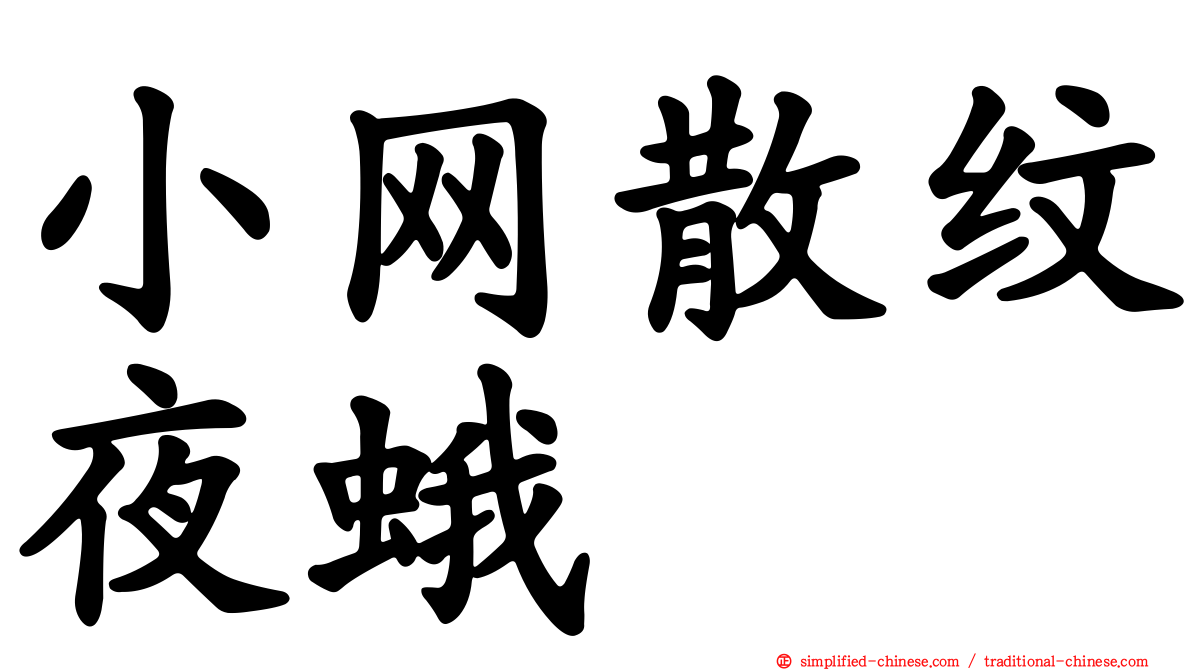 小网散纹夜蛾