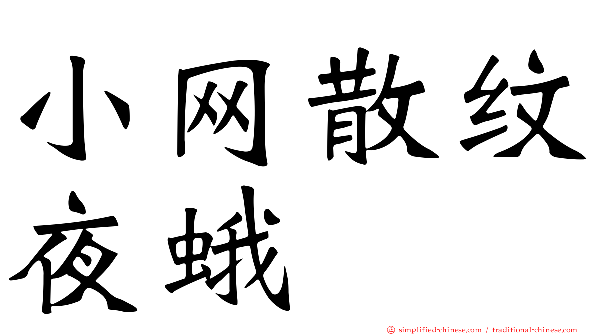 小网散纹夜蛾