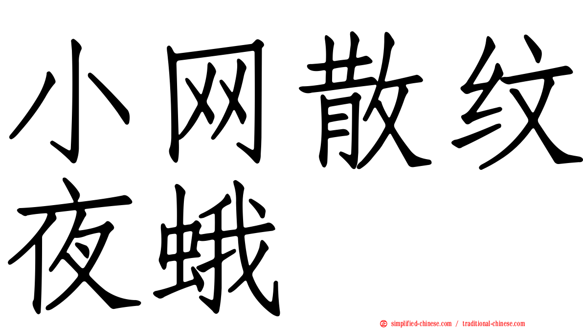 小网散纹夜蛾