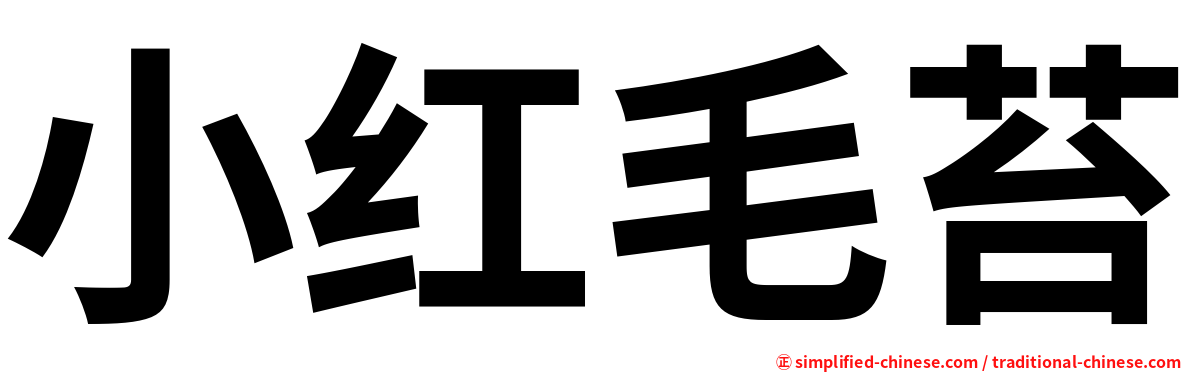 小红毛苔