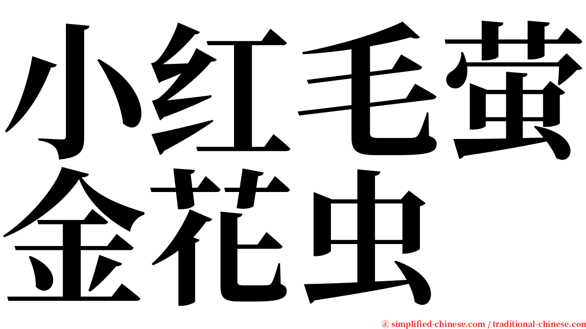 小红毛萤金花虫 serif font