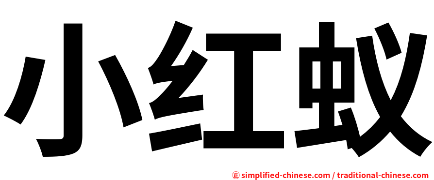 小红蚁
