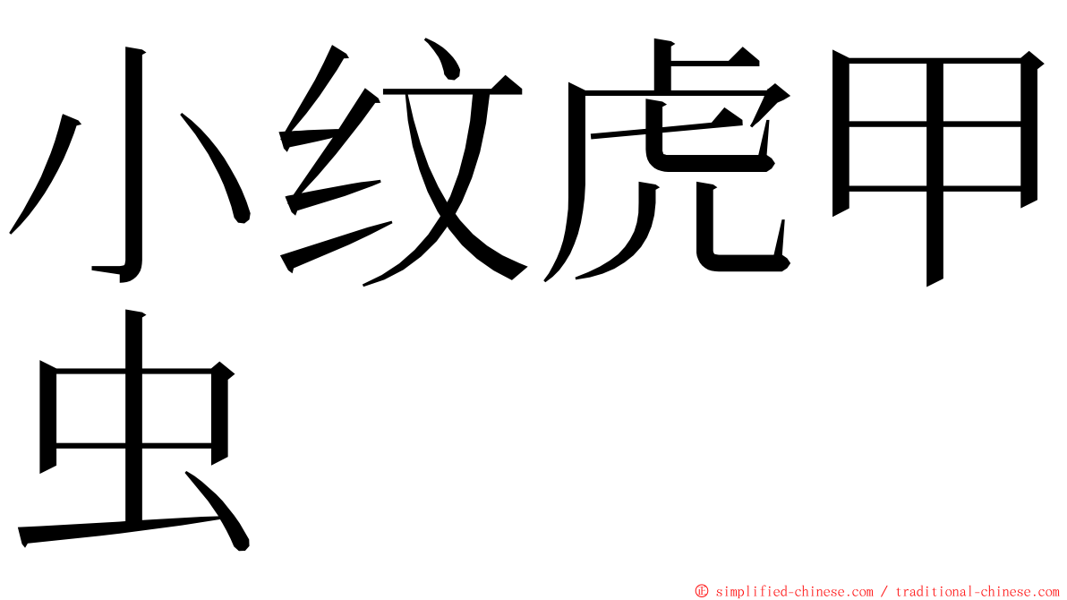 小纹虎甲虫 ming font