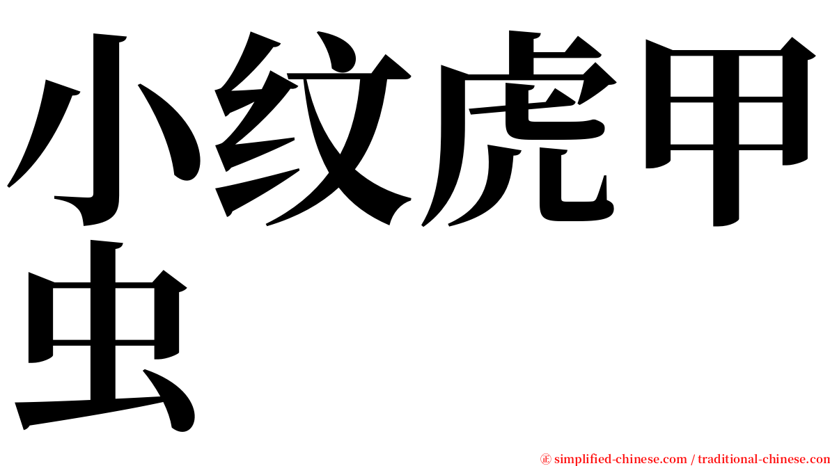 小纹虎甲虫 serif font
