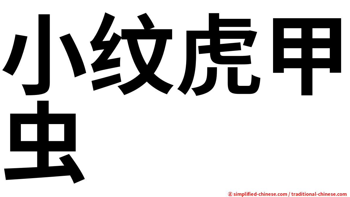 小纹虎甲虫