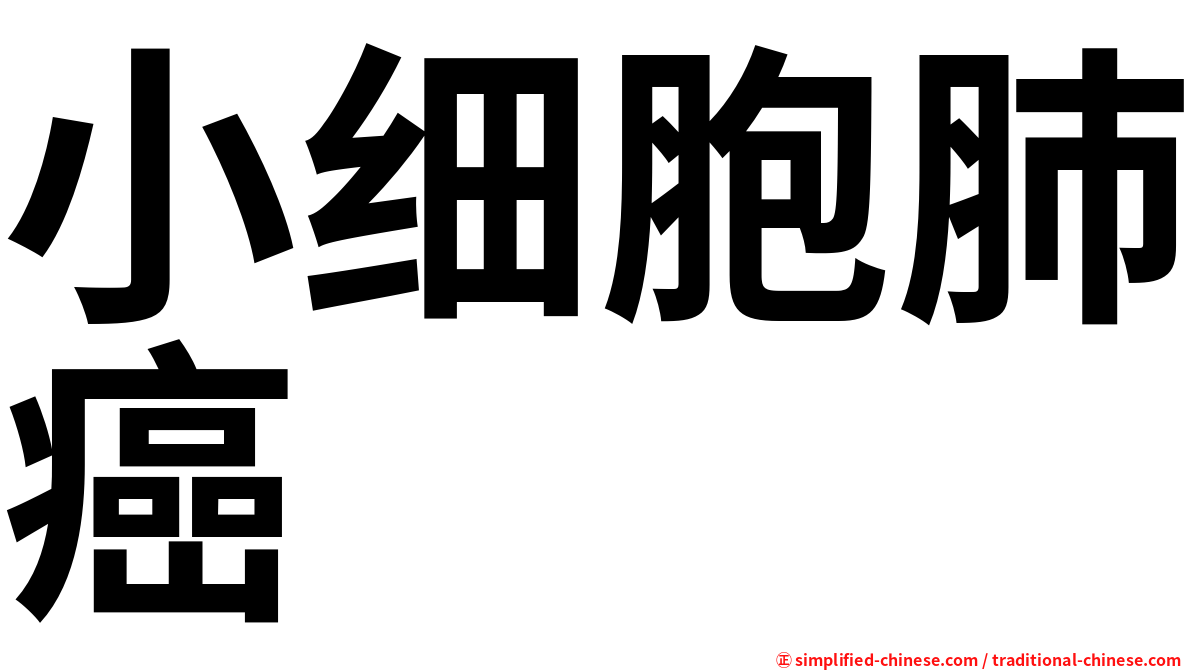 小细胞肺癌
