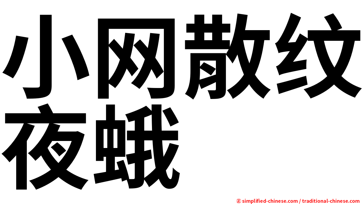 小网散纹夜蛾