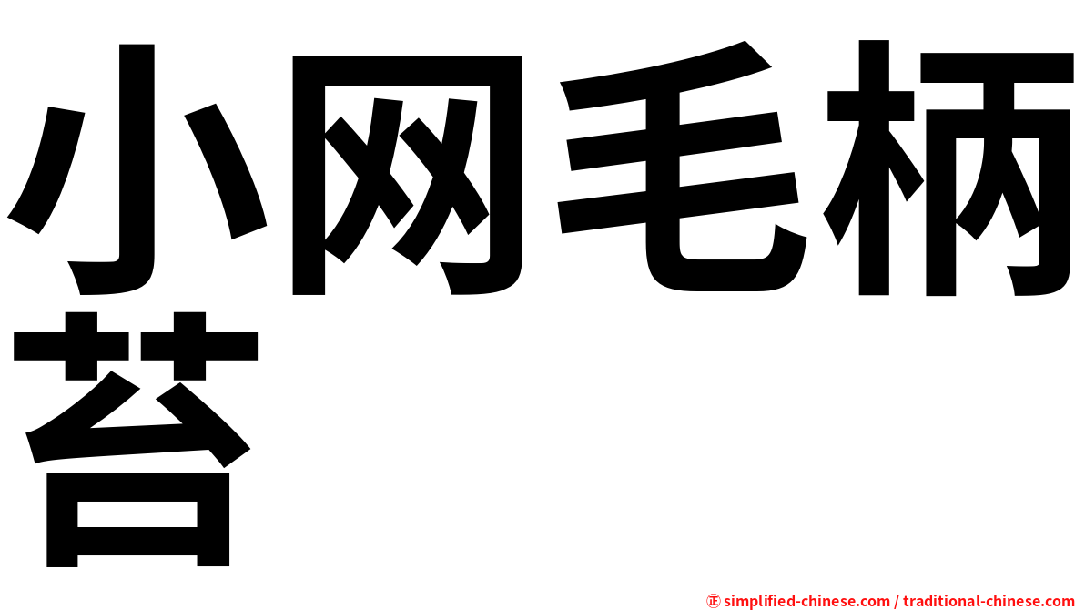 小网毛柄苔