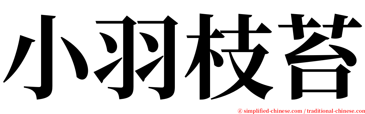 小羽枝苔 serif font