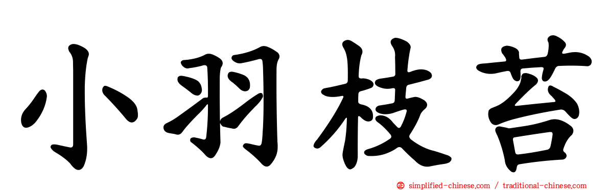 小羽枝苔