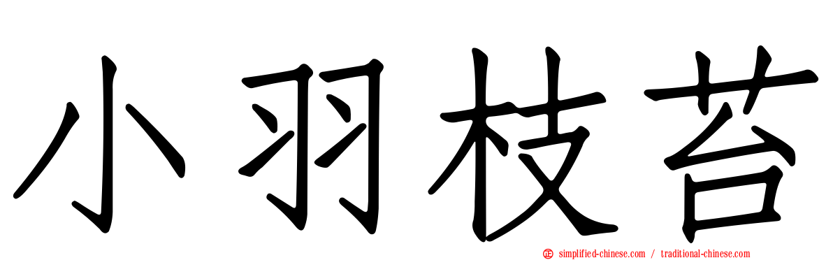 小羽枝苔
