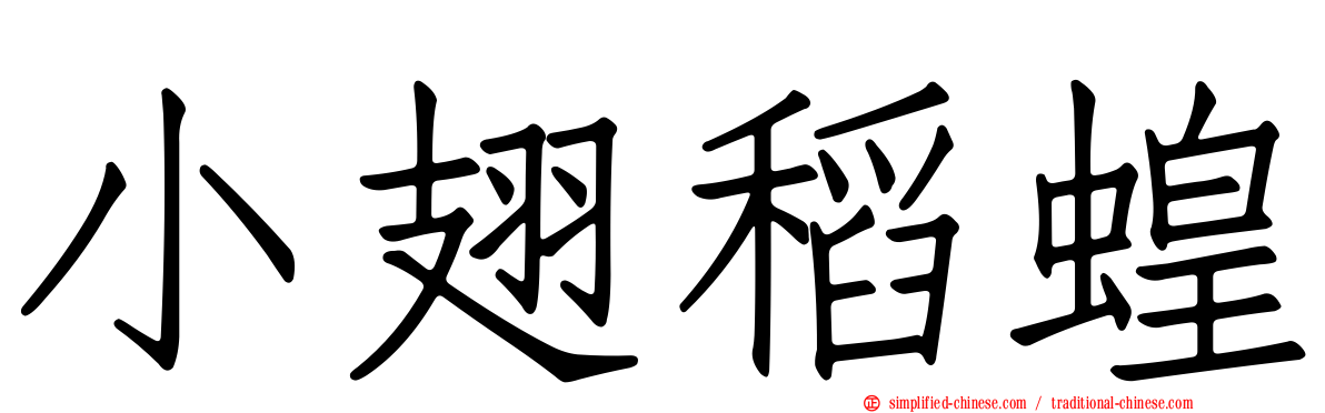 小翅稻蝗