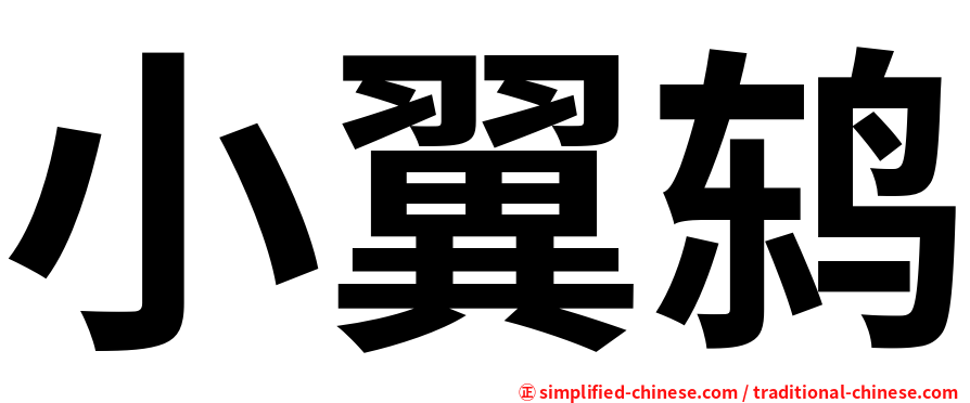 小翼鸫
