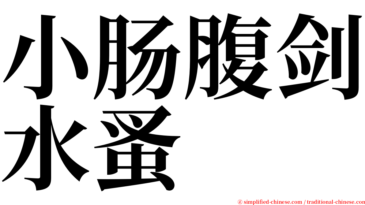 小肠腹剑水蚤 serif font