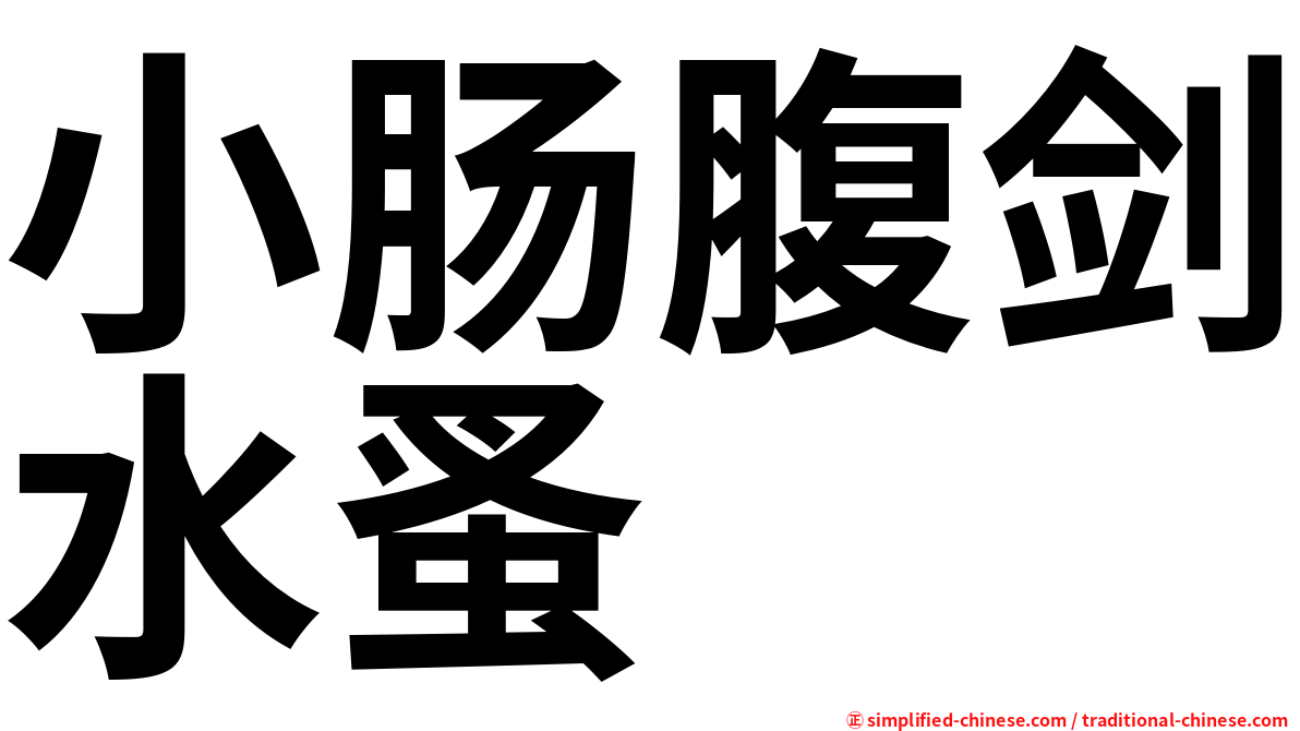 小肠腹剑水蚤