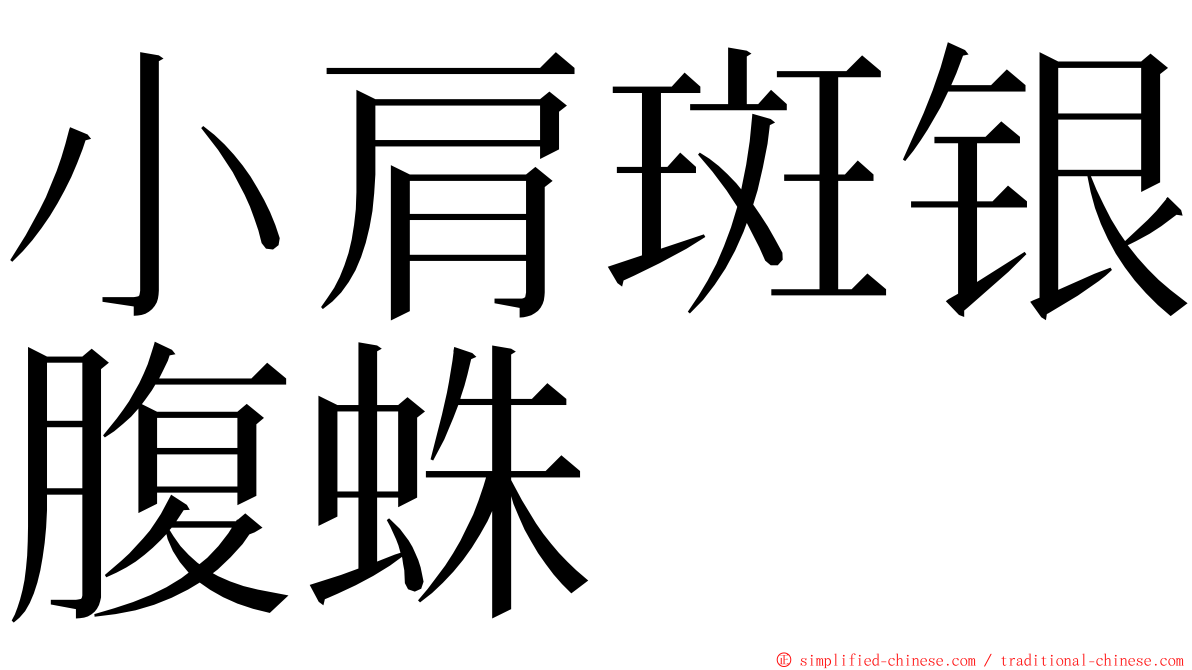 小肩斑银腹蛛 ming font