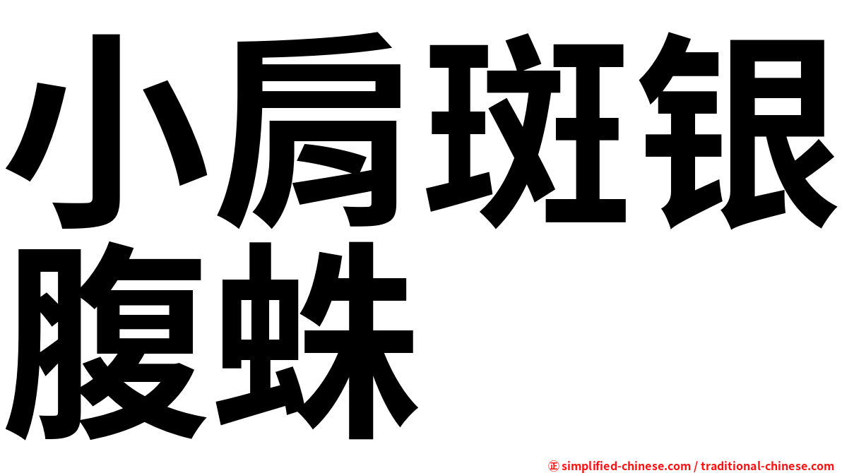小肩斑银腹蛛