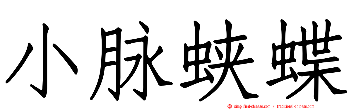 小脉蛱蝶