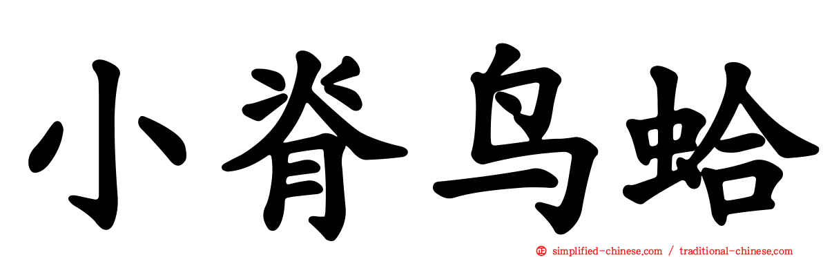 小脊鸟蛤