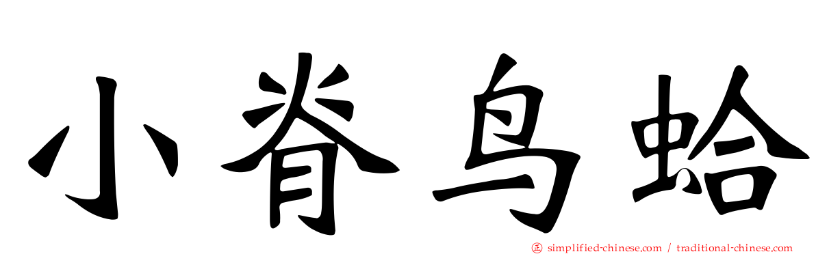 小脊鸟蛤