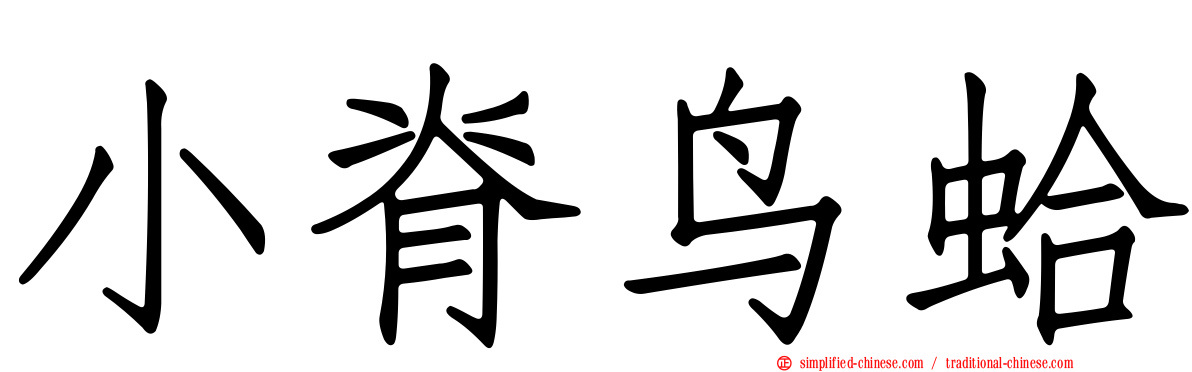 小脊鸟蛤