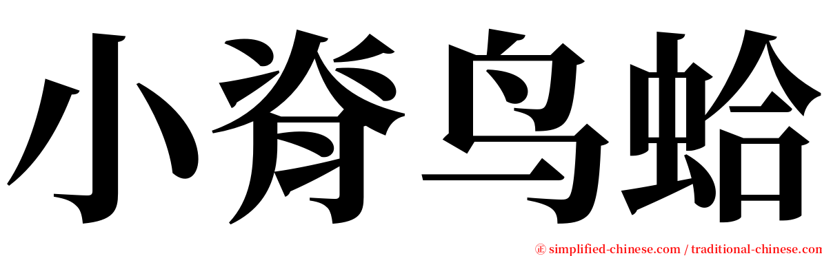 小脊鸟蛤 serif font