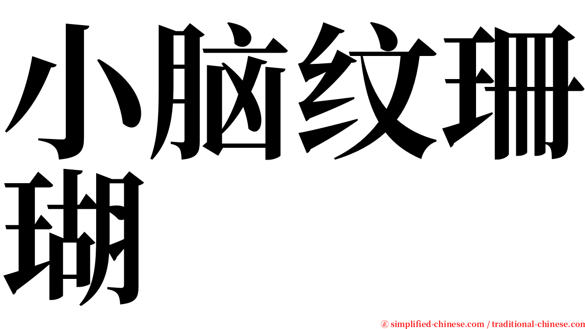 小脑纹珊瑚 serif font