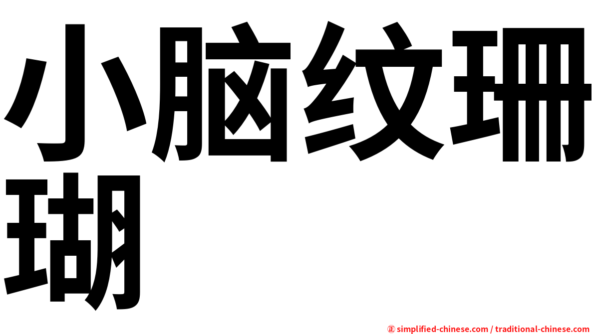 小脑纹珊瑚
