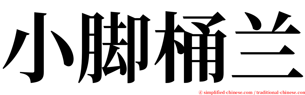 小脚桶兰 serif font