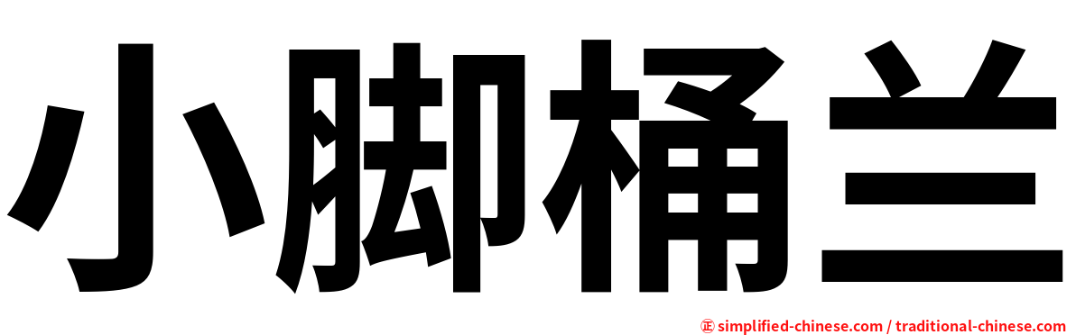小脚桶兰