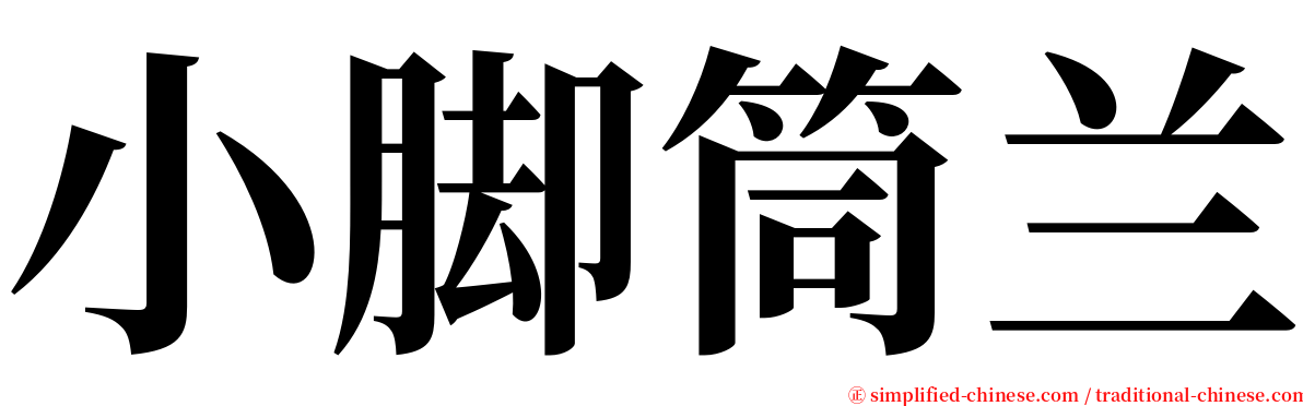 小脚筒兰 serif font