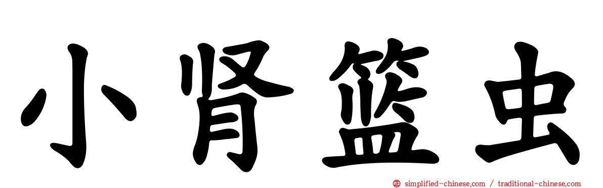 小肾篮虫