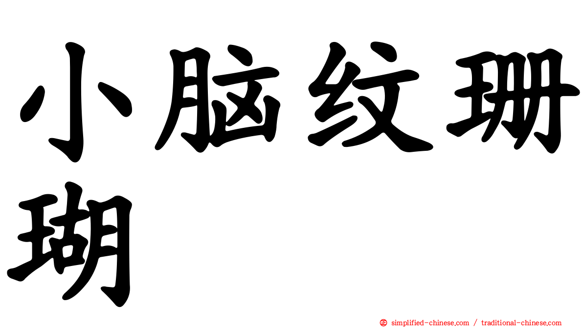 小脑纹珊瑚