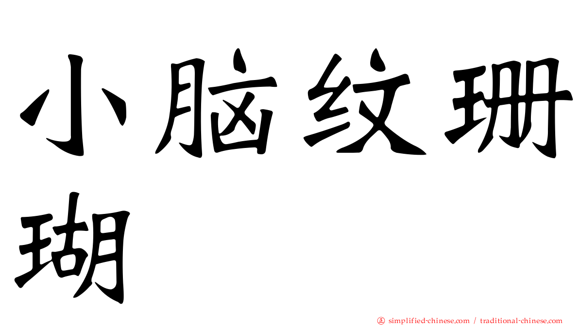 小脑纹珊瑚