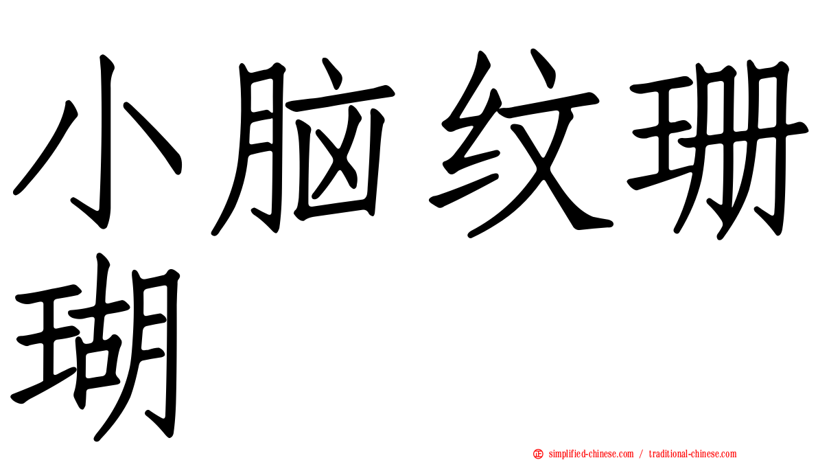 小脑纹珊瑚