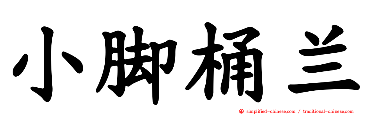 小脚桶兰