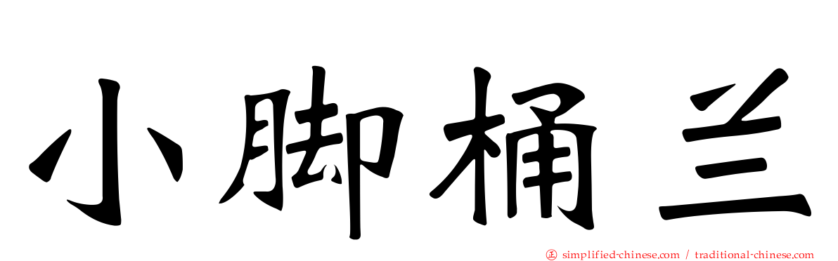 小脚桶兰