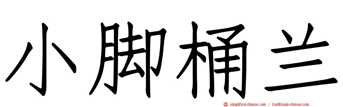 小脚桶兰