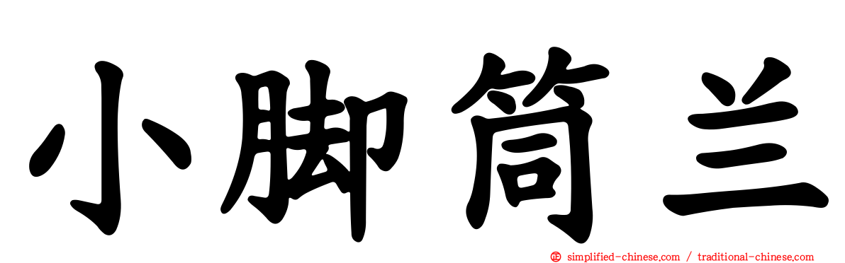 小脚筒兰