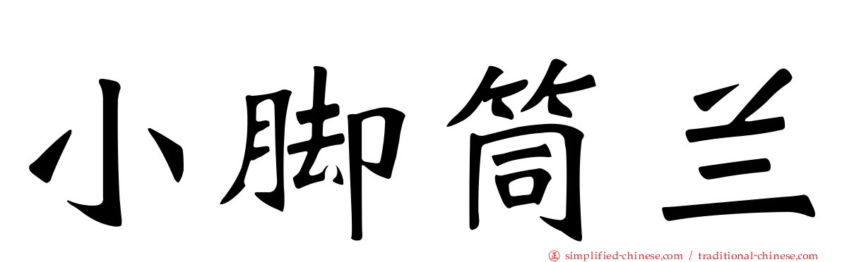 小脚筒兰