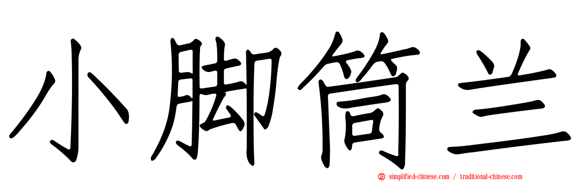 小脚筒兰