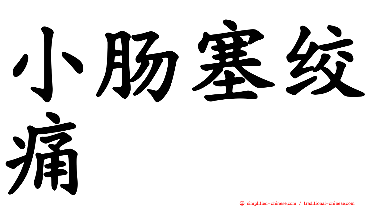 小肠塞绞痛