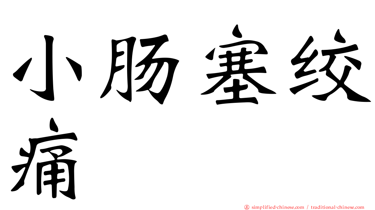 小肠塞绞痛
