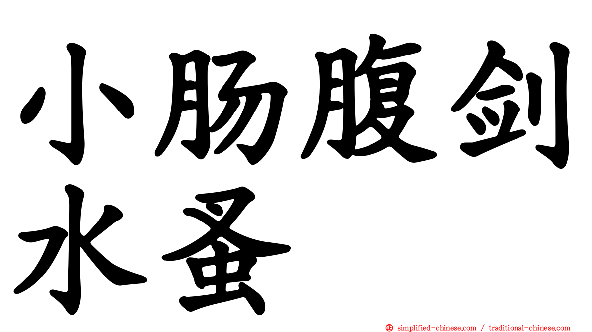 小肠腹剑水蚤