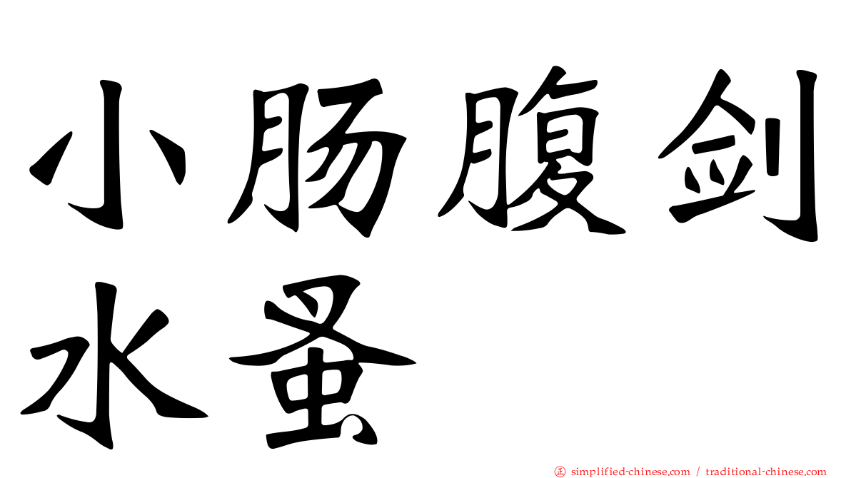 小肠腹剑水蚤