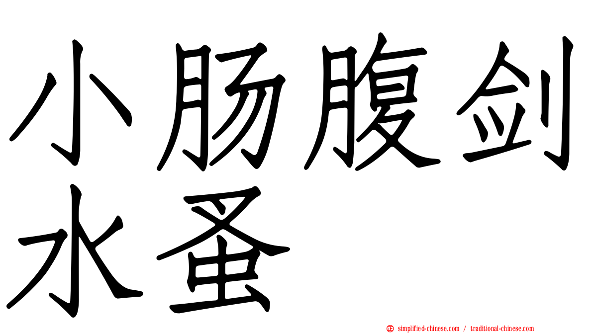 小肠腹剑水蚤