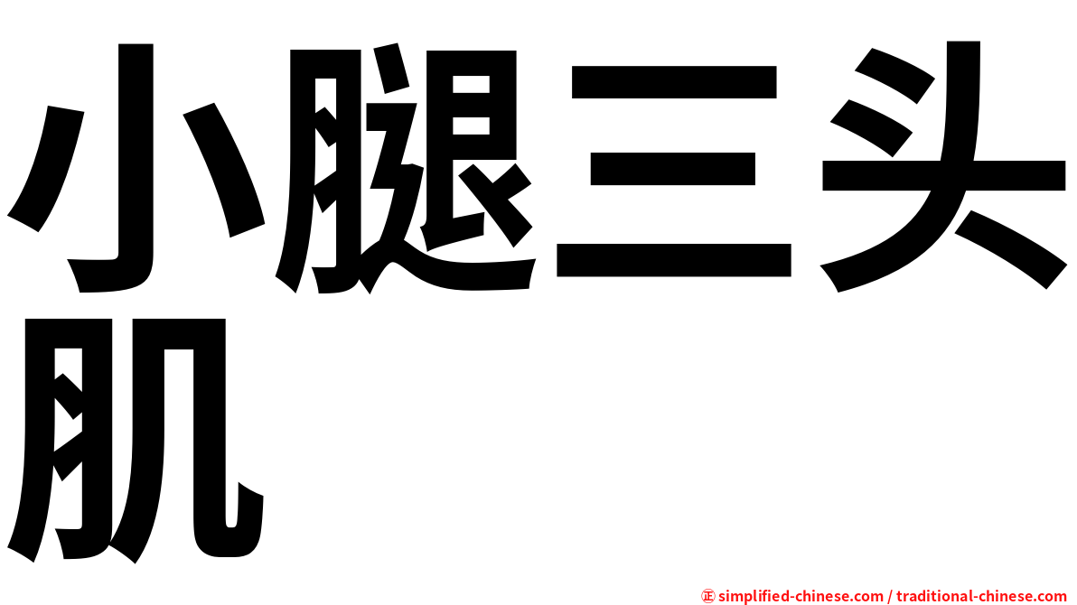 小腿三头肌